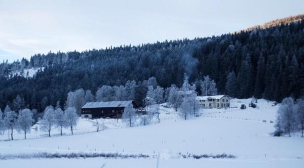 Gården Fonnås på Elvål. Her bodde og arbeidet Per Marken, og her ble strykninen puttet inn i honningkaka. Foto: Aslaug Haugen. 