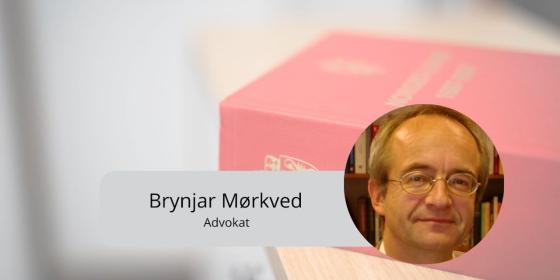 Brynjar Mørkved (Foto: privat / Stortinget)