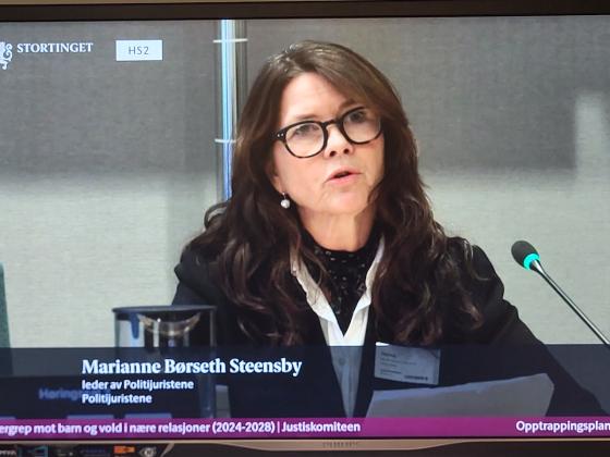 Marianne Børseth Steensby (Foto: Stortinget Nett-TV)