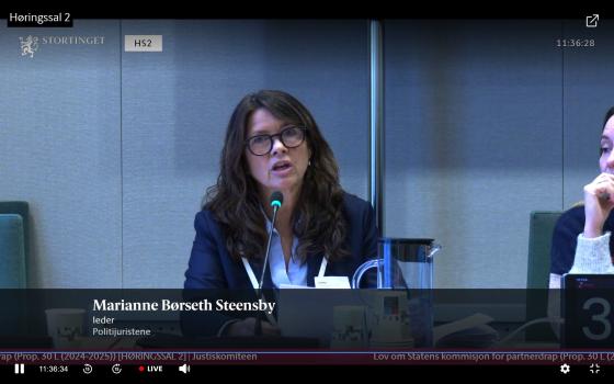 Marianne Børseth Steensby (Foto: Stortingets nett-tv)