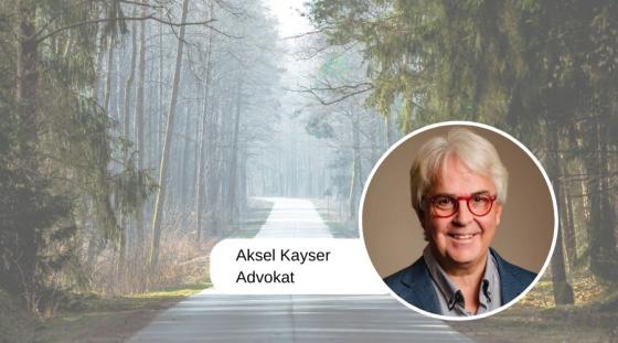 Aksel Kayser (Foto: Veronika Stuksrud / pixabay)