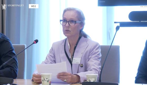 Benedicte Gram-Knutsen (skjermbilde Stortingets nett-tv.)