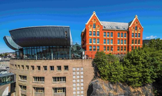 UiB (Foto: Eivind Senneset)