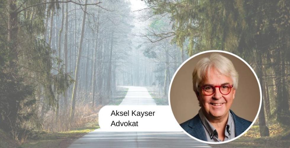 Aksel Kayser (Foto: Veronika Stuksrud / pixabay)