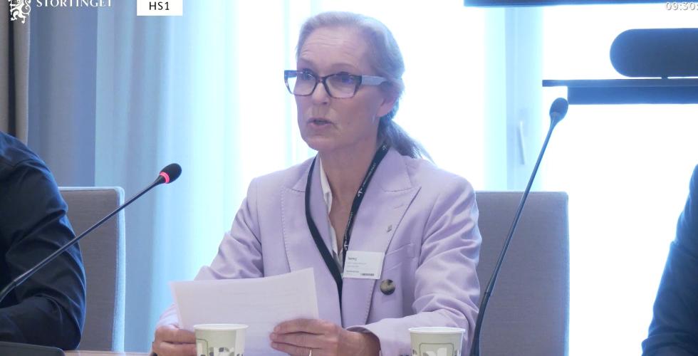 Benedicte Gram-Knutsen (skjermbilde Stortingets nett-tv.)